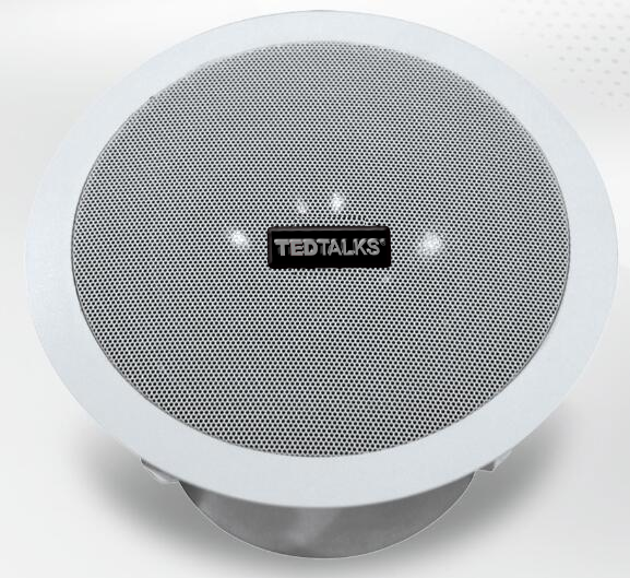 8寸同轴吸顶音箱